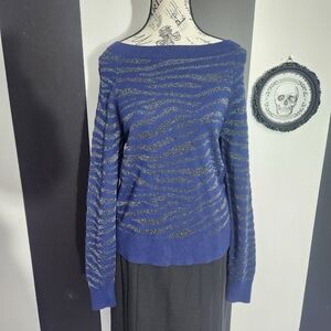 Stella & Dot Blue and Silver Striped Sweater